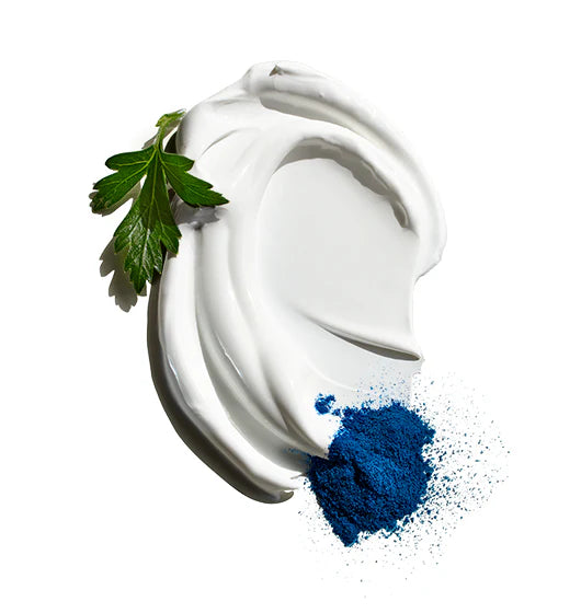 Double-Duty Face Moisturizer SPF 20 with Blue Algae Extract & Sea Parsley